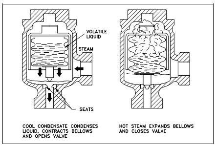 Bellows-Type Steam Trap, Thermostatic Steam Traps, Assignment Help